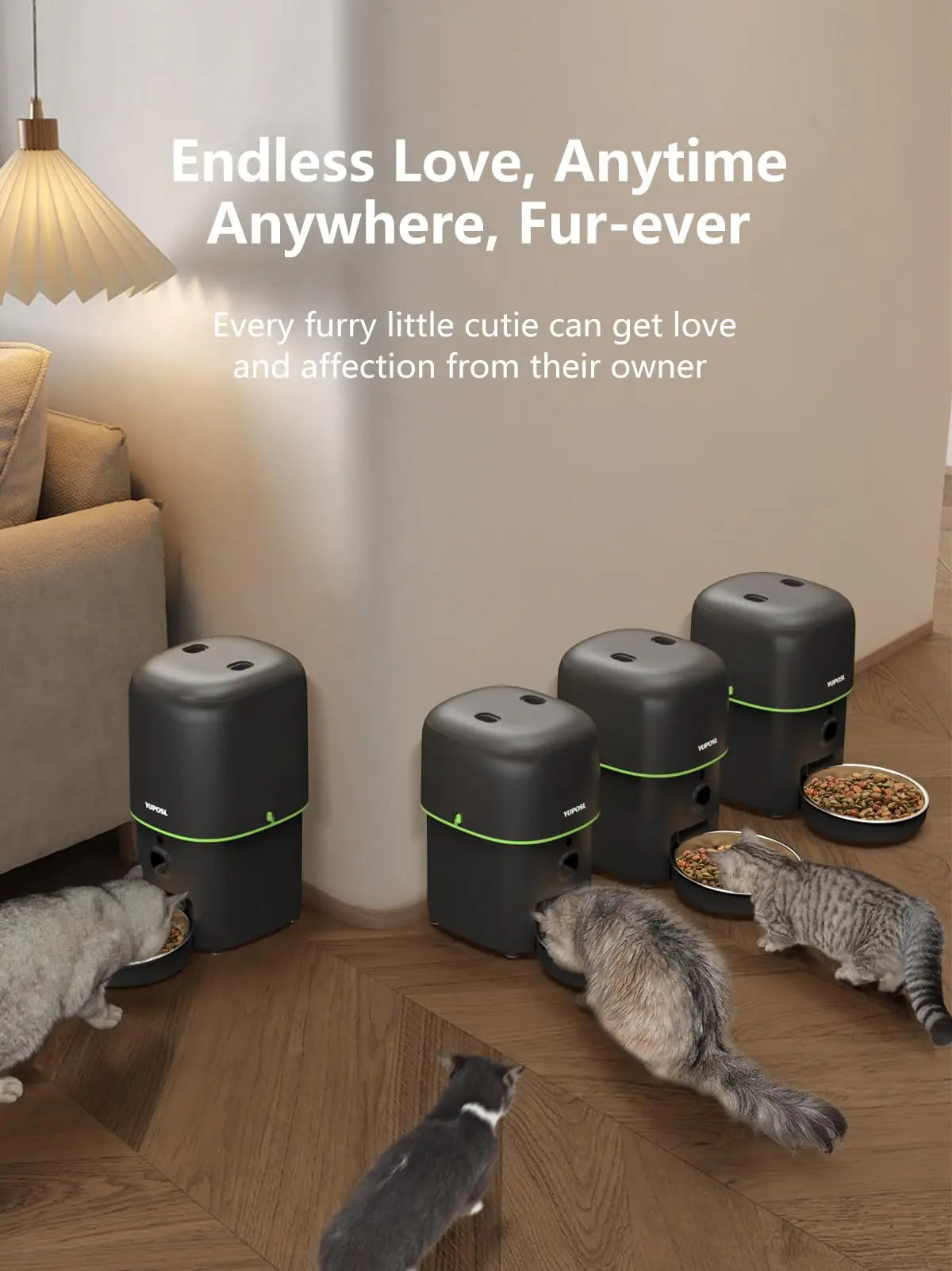 Mangeoire automatique avec caméra intelligente pour animaux de compagnie, distributeur de nourriture et de croquettes, télécommande, bouton WiFi, accessoires pour chats et chiens